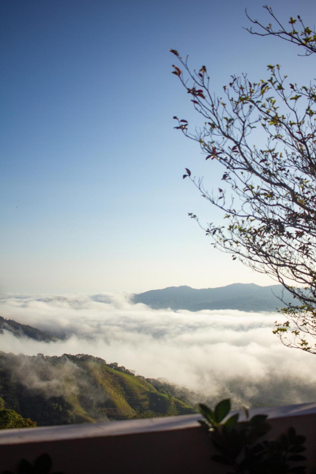 Nosara Hideaway 2 - Breakfast Included & Mountain View Cabins Nicoya Exterior foto